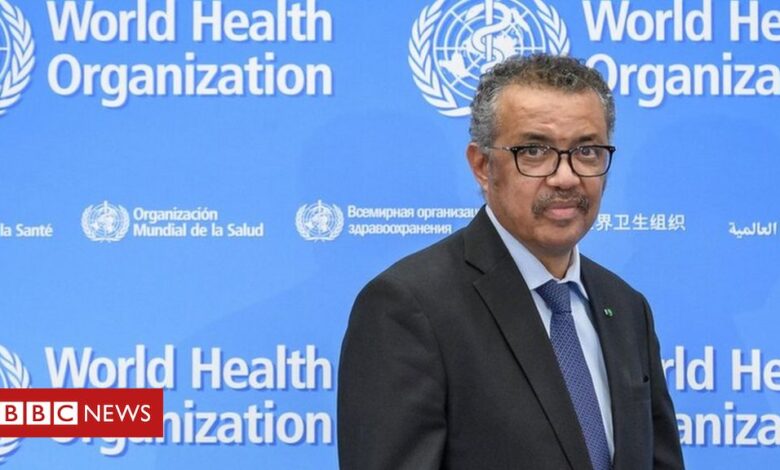 Ethiopia army accuses WHO boss Dr Tedros of supporting Tigray leaders