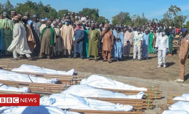 Farm workers killed in 'insane' Nigeria attack