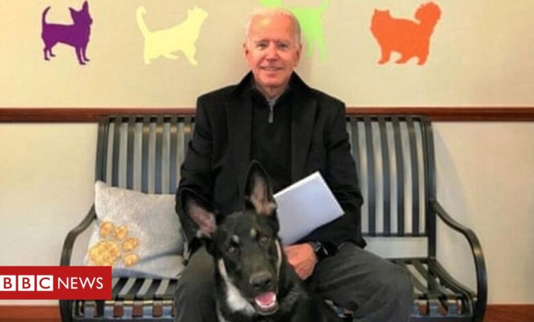 Joe Biden: President-elect fractures foot while playing with dog