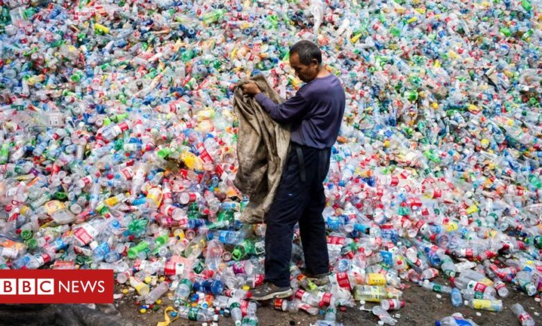 China biodegradable plastics 'failing to solve pollution crisis'