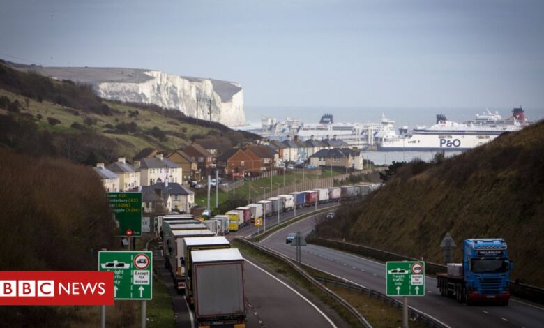 Covid-19: Dover port halts exports to France for 48 hours
