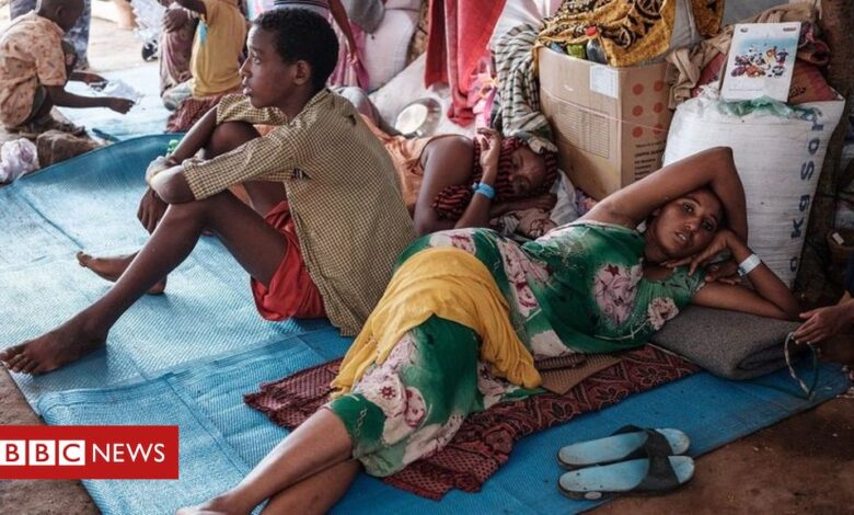 Ethiopia aid delayed amid reports Tigray fighting continues - UN