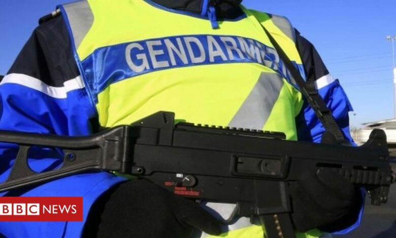 Gunman kills three police officers in France
