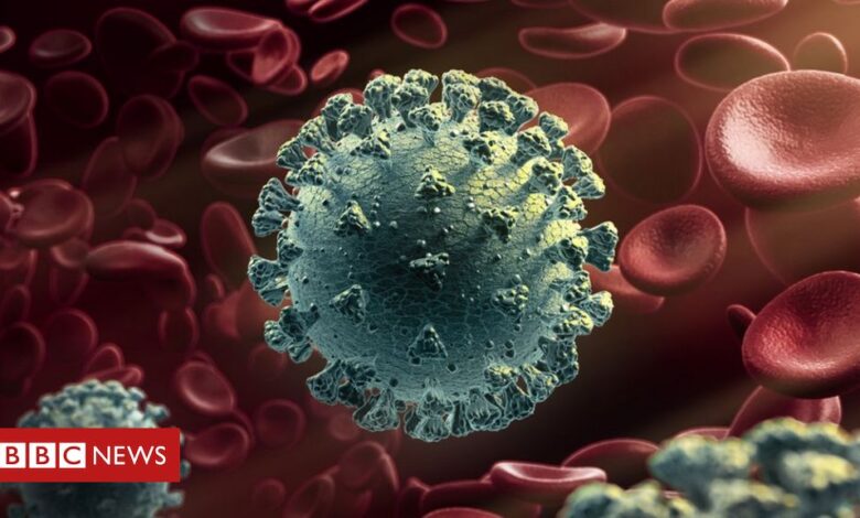 New coronavirus variant: What do we know?