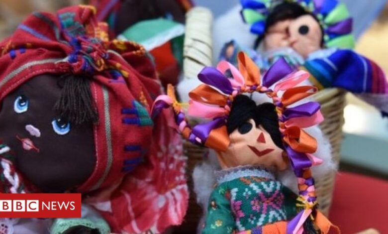 Reptiles smuggled from Mexico found at German airport stitched inside dolls