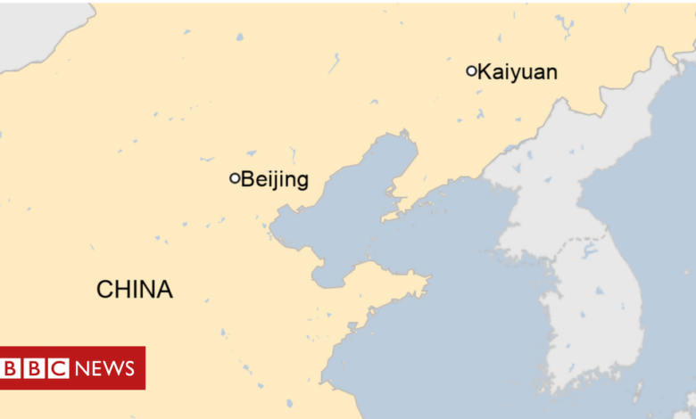 Seven killed in knife attack in China's Liaoning province