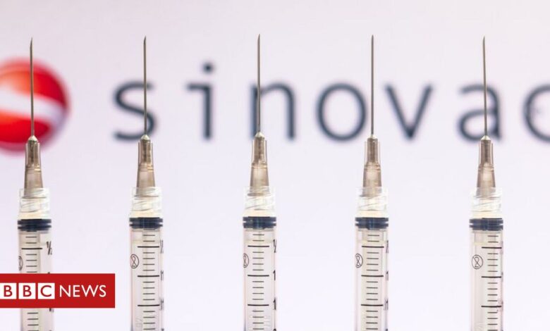 Sinovac: What do we know about China's Covid-19 vaccine?