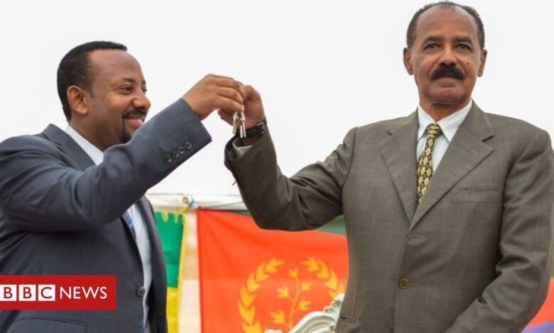 Tigray crisis: Eritrea's role in Ethiopian conflict