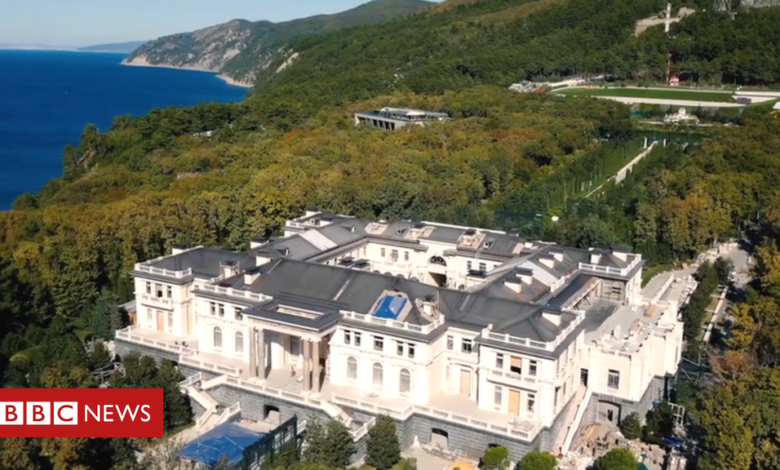 Black Sea palace not mine, says Putin