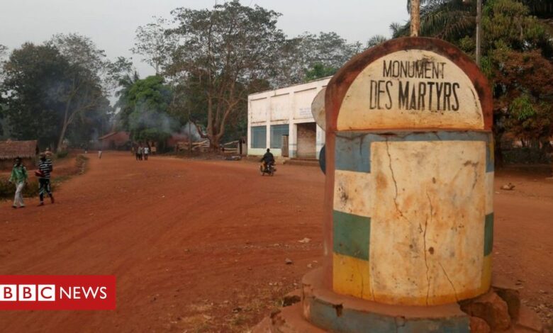 Central African Republic rebels seize Bangassou, says UN