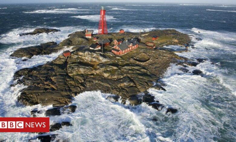 Swedish Covid nurse to watch entire film festival alone in lighthouse