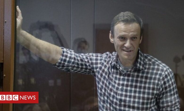 Alexei Navalny: Putin critic loses appeal against jailing