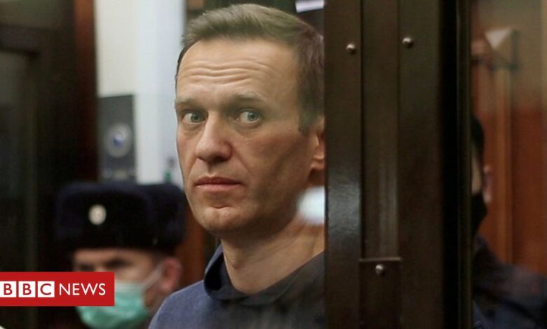 Alexei Navalny: Top Putin critic sent to Russian penal colony