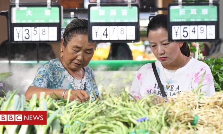 China's Xi declares victory in ending extreme poverty