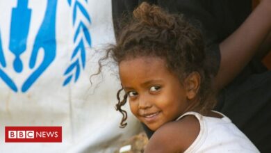 Photo of Ethiopia's Tigray crisis: Blinken says US concerned about atrocities