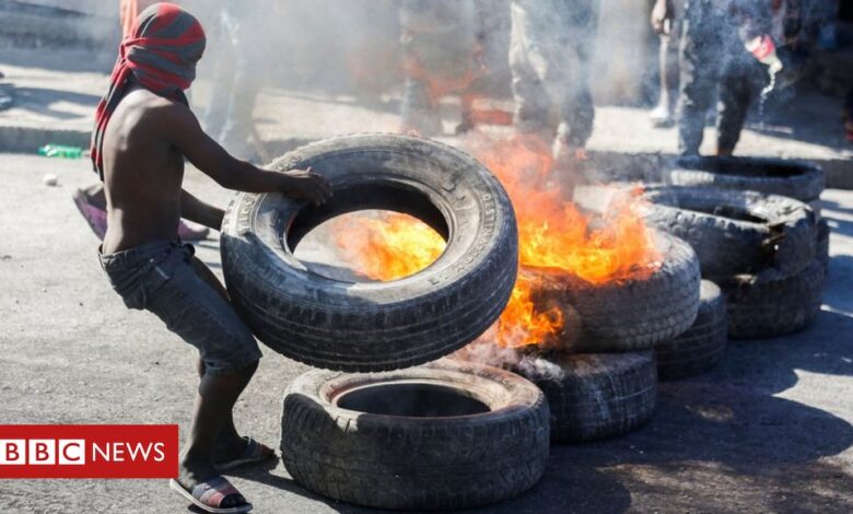 Haiti political turmoil: Judge and police officer among 23 arrested for 'coup attempt'