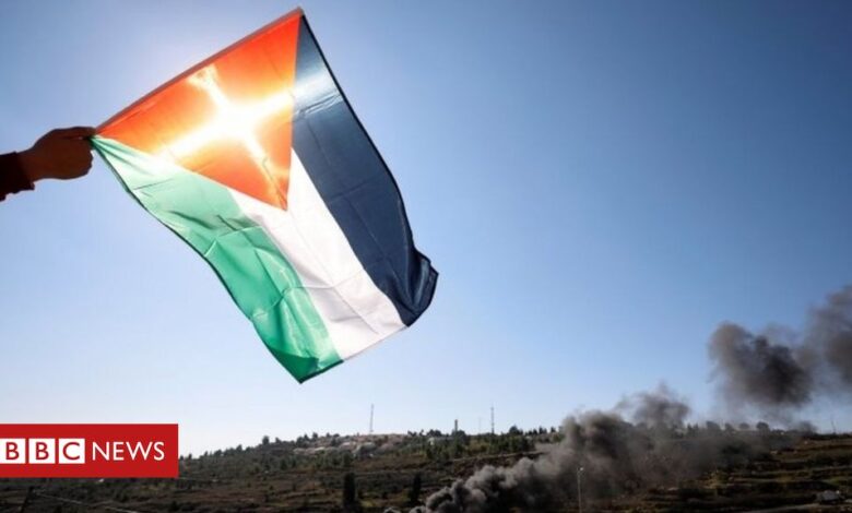 ICC rules it has jurisdiction over West Bank and Gaza 'abuses'