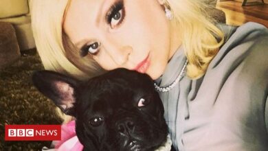 Photo of Lady Gaga's dog walker Ryan Fischer to make 'full recovery'