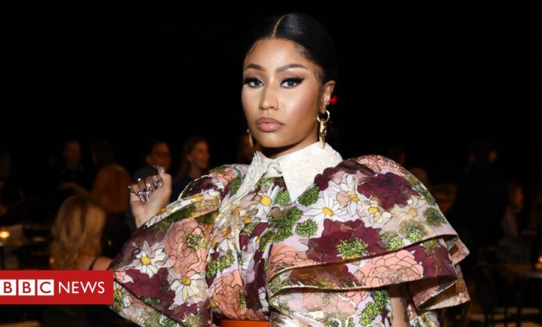 Man arrested after Nicki Minaj's father killed in hit-and-run
