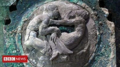 Photo of Pompeii: Archaeologists unveil ceremonial chariot discovery