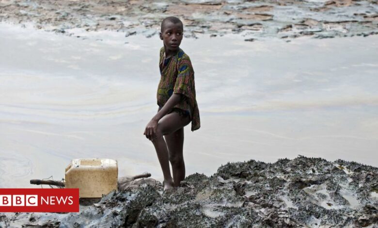Shell in Nigeria: Polluted communities 'can sue in English courts'