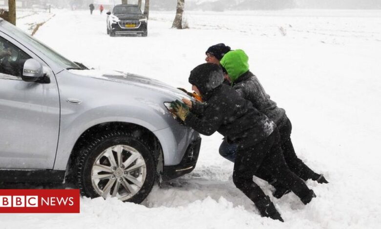 Storm Darcy: Netherlands hit by 'first major snowstorm in decade'