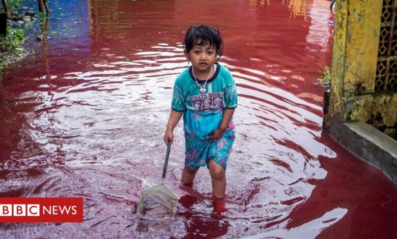 Village submerged by red water after flood hits batik factory