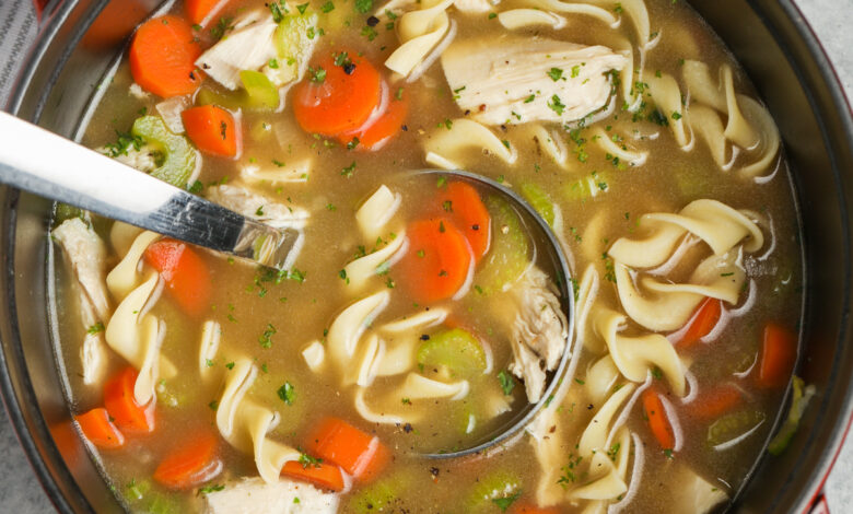 a ladle in a pot of turkey noodle soup